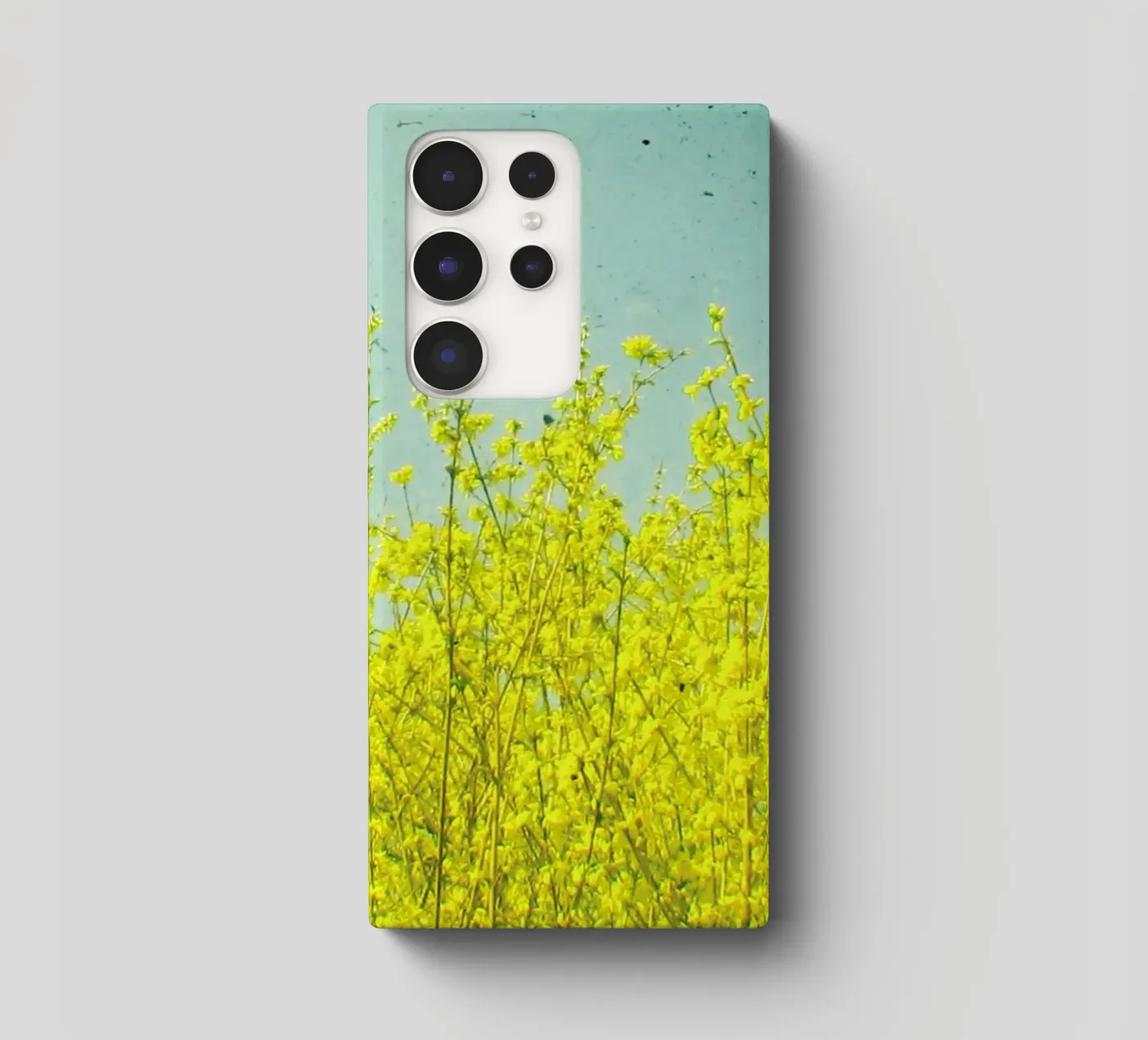 Summer cover samsung da Cassia Beck Photography