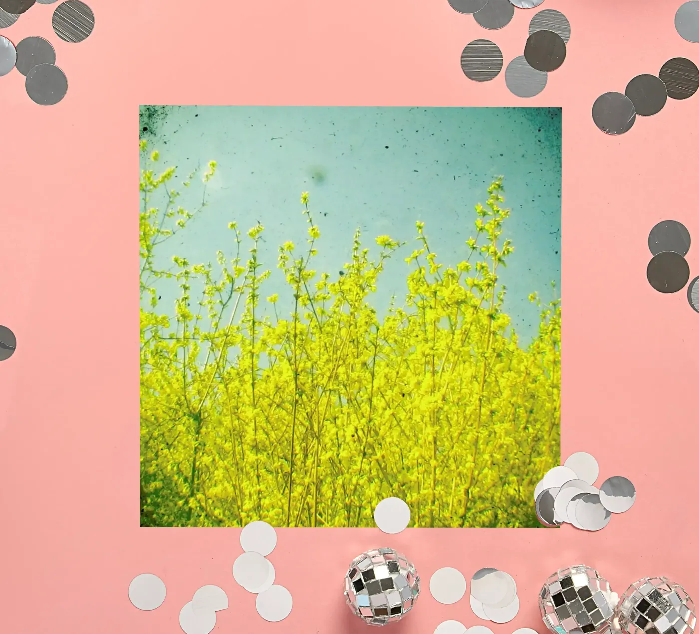Summer adesivo da Cassia Beck Photography