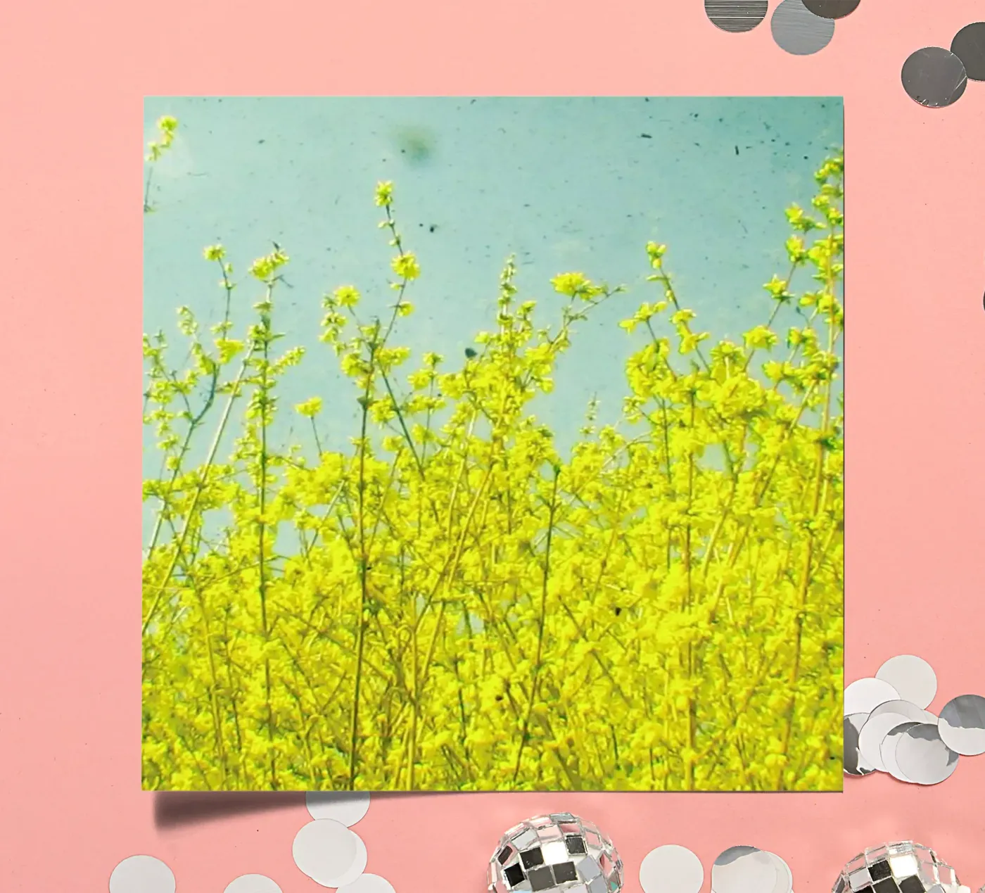 Summer stickervel van Cassia Beck Photography