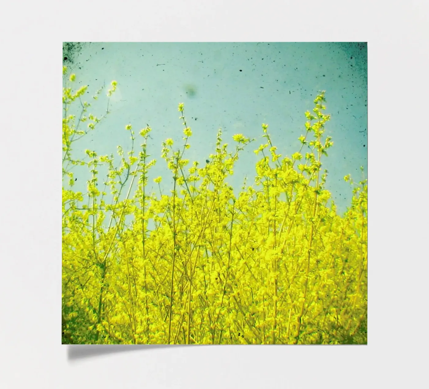 Summer stickervel van Cassia Beck Photography