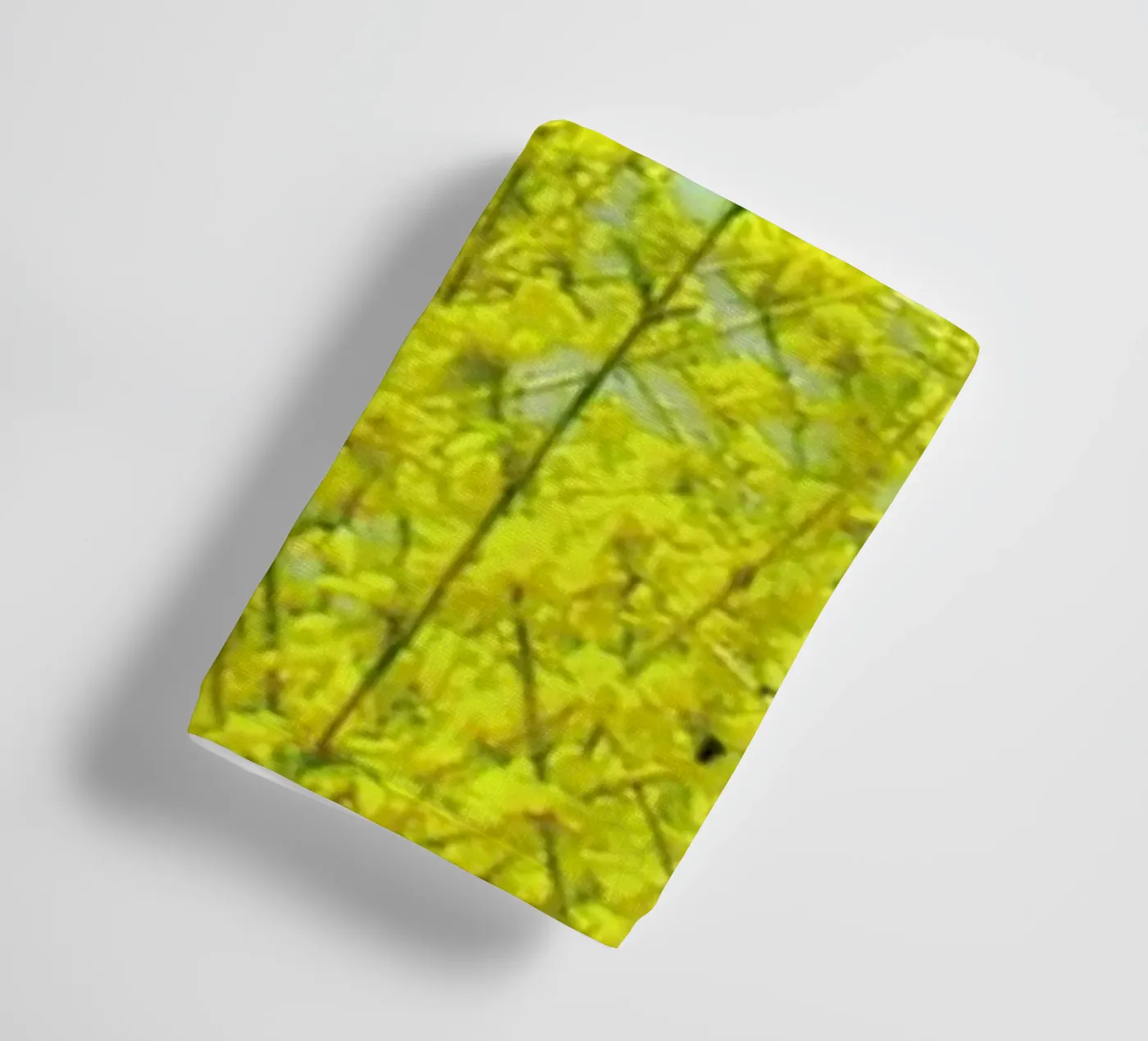 Summer towel by Cassia Beck Photography