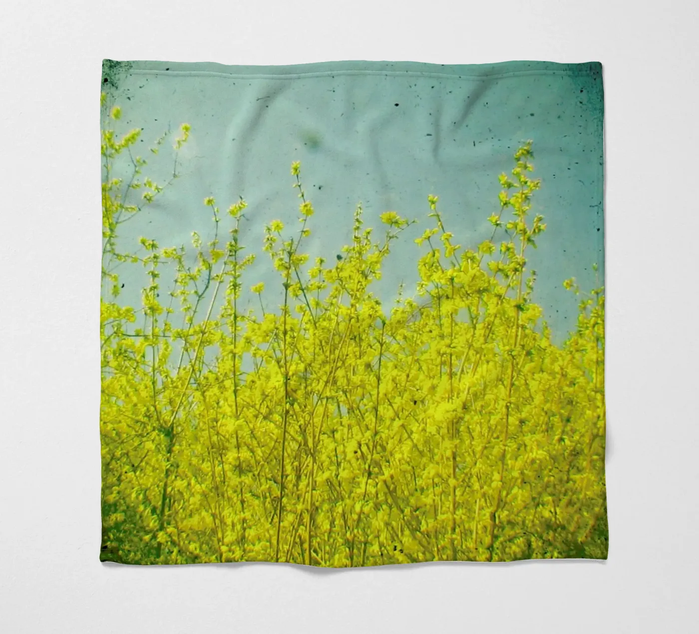 Summer coperta in pile da Cassia Beck Photography