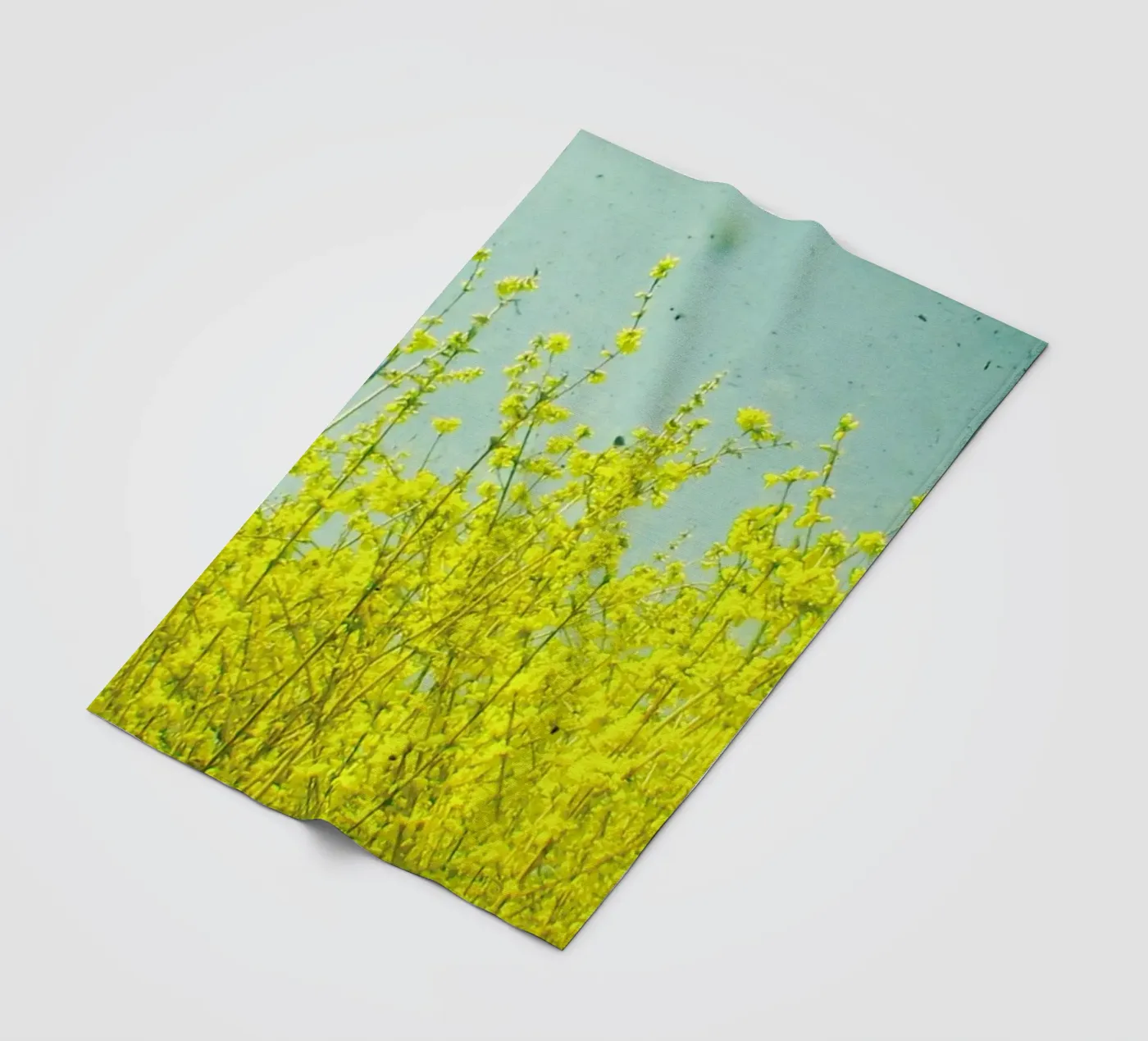 Summer coperta in pile da Cassia Beck Photography