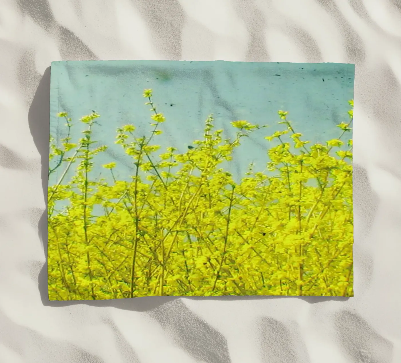 Summer telo mare da Cassia Beck Photography