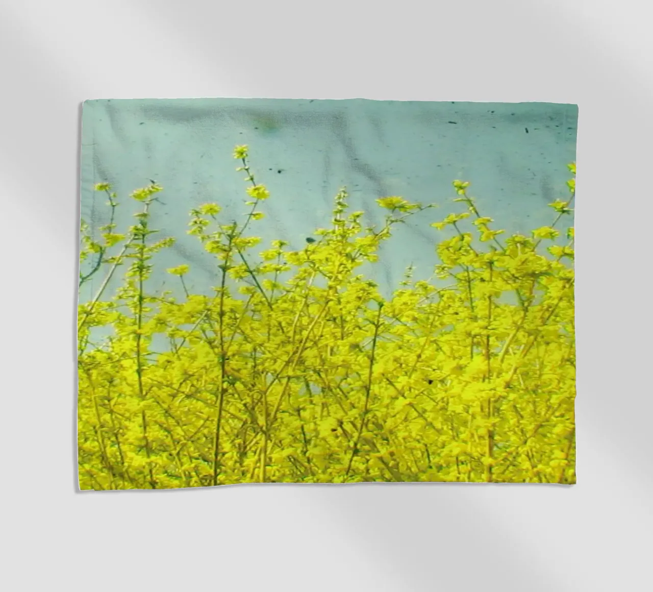 Summer telo mare da Cassia Beck Photography