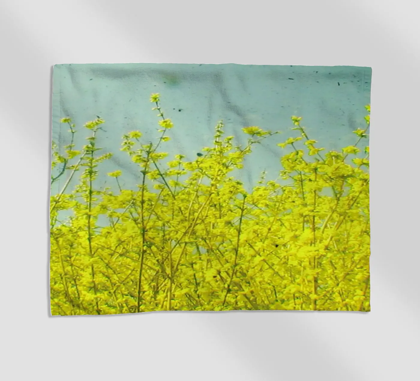Summer telo mare da Cassia Beck Photography