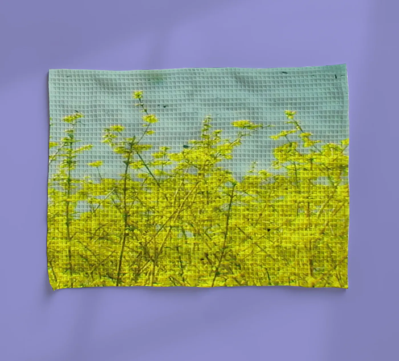 Summer torchon de Cassia Beck Photography