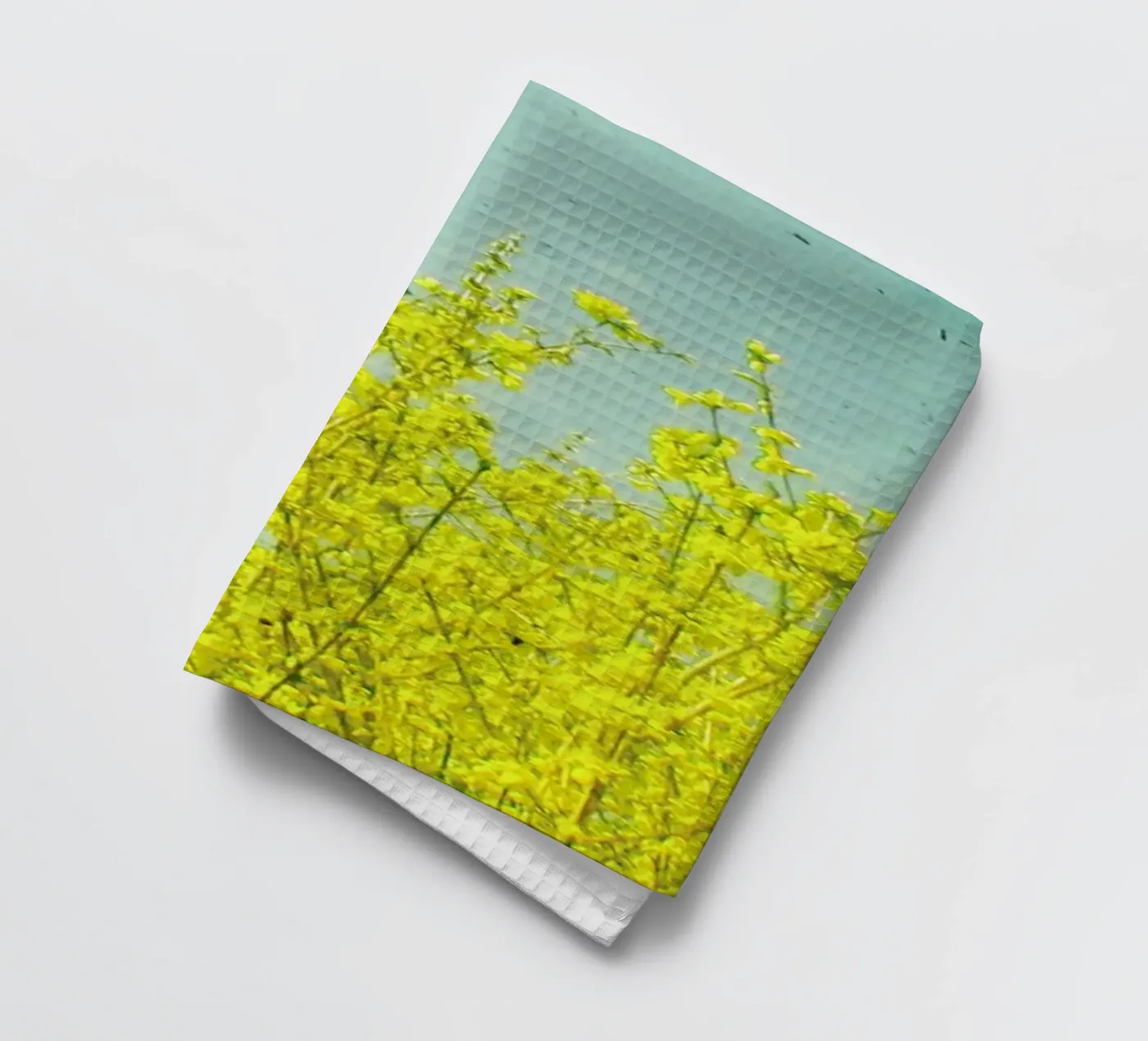 Summer torchon de Cassia Beck Photography