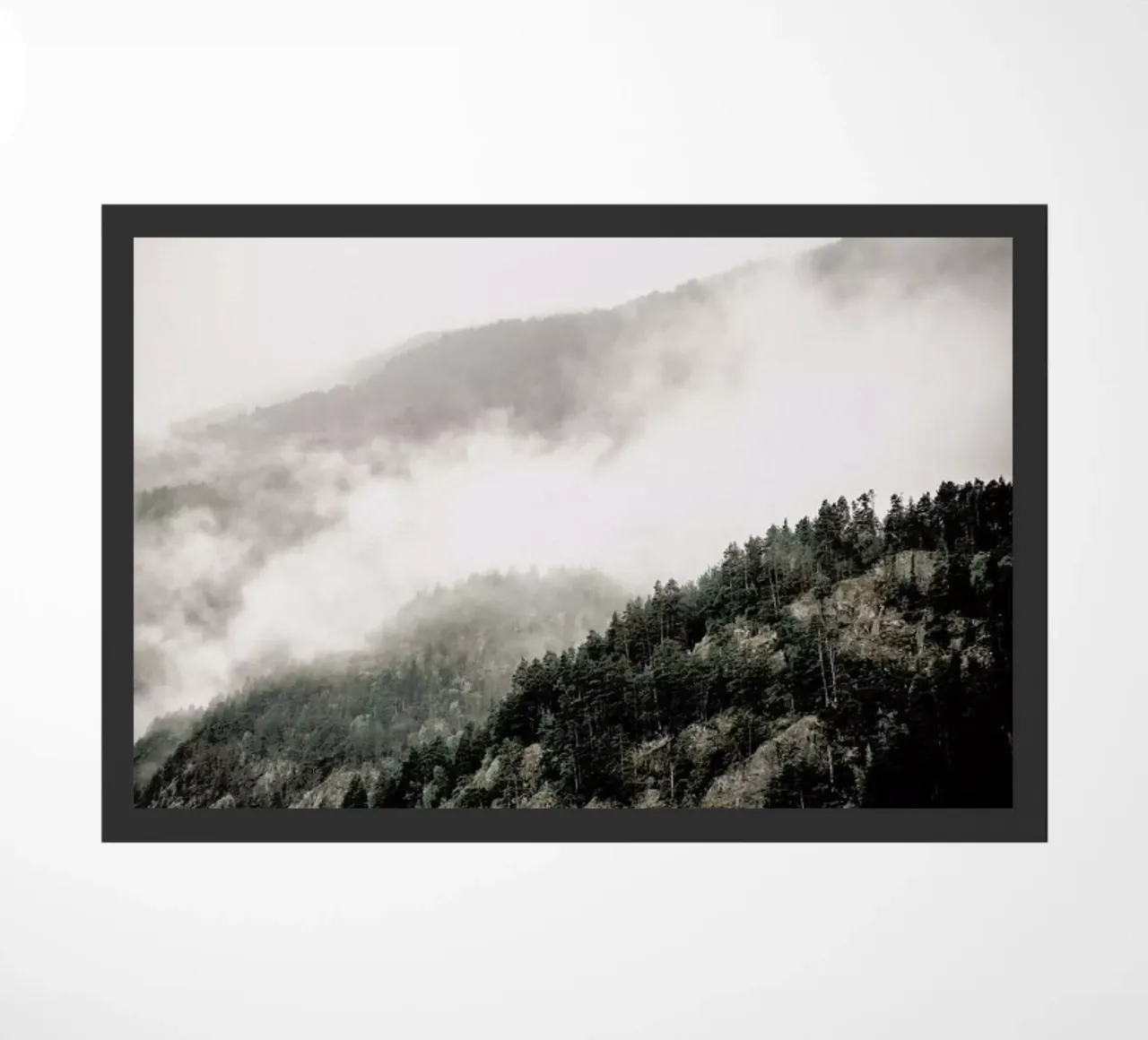 Misty Mountains zerbino da Chris Abatzis