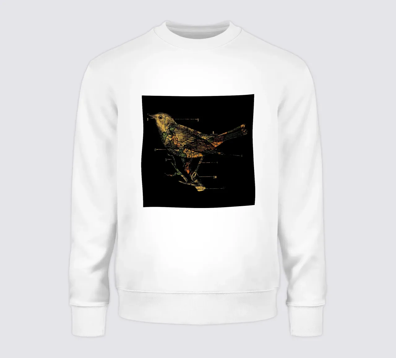 Migration sweat de Tobe Fonseca