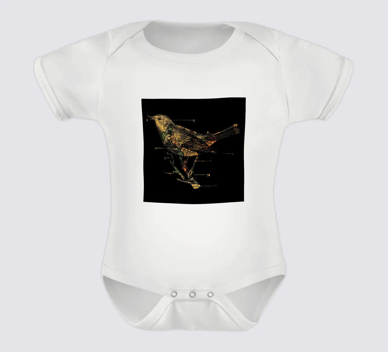 Migration body bébé de Tobe Fonseca