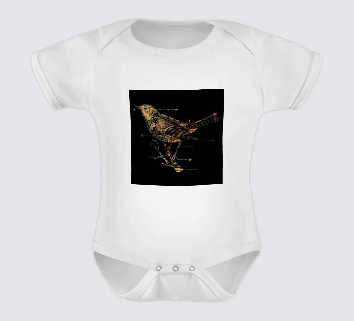 Migration Kurzarm Babybody von Tobe Fonseca