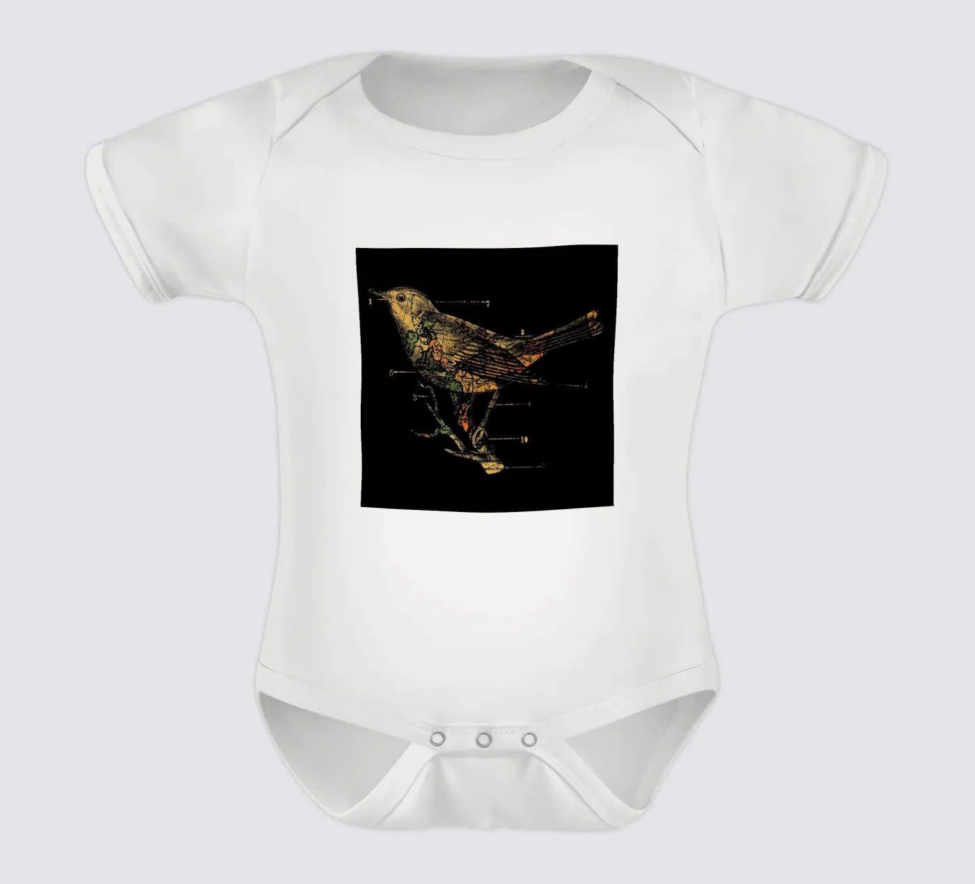 Migration body bébé de Tobe Fonseca