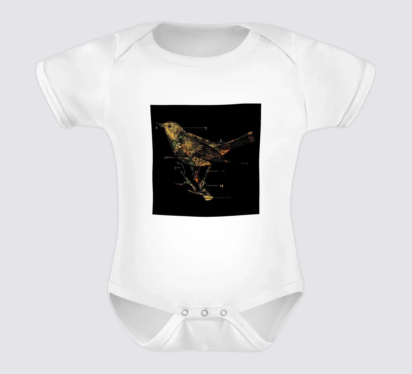 Migration body bébé de Tobe Fonseca