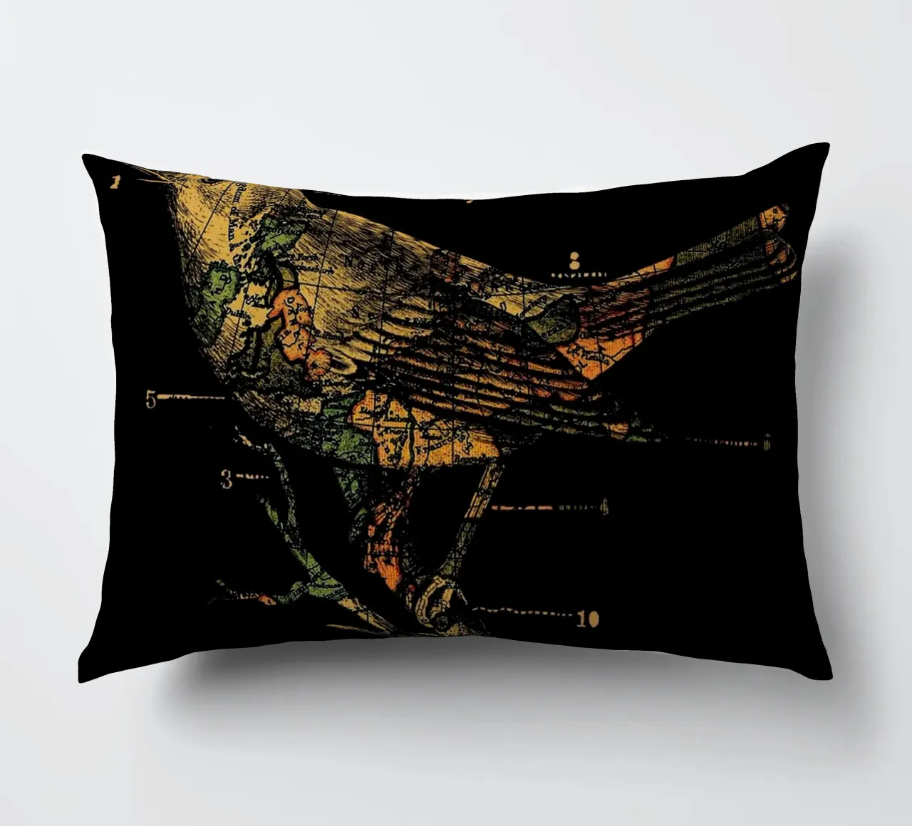 Migration cuscino da Tobe Fonseca