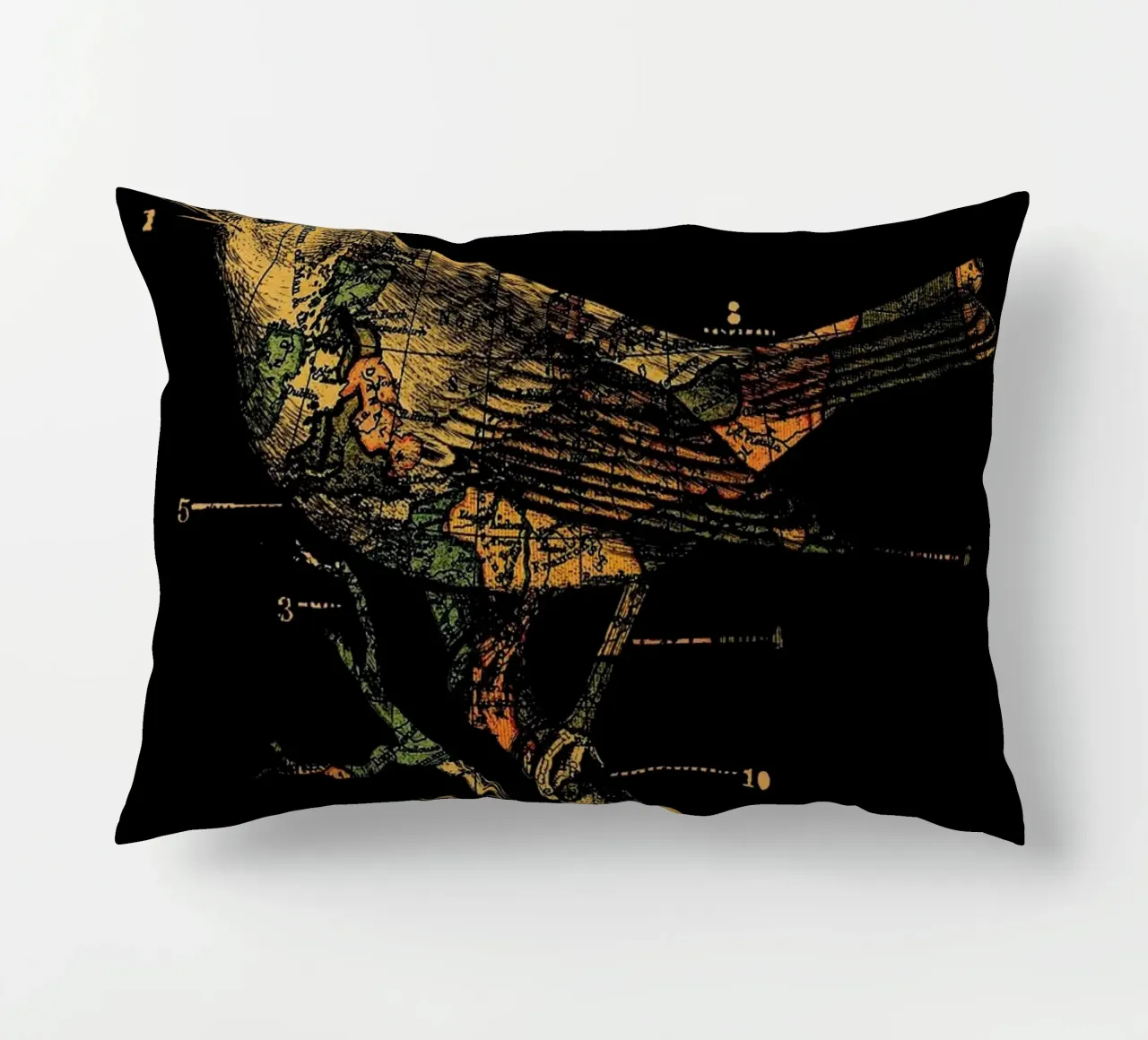 Migration cuscino da Tobe Fonseca