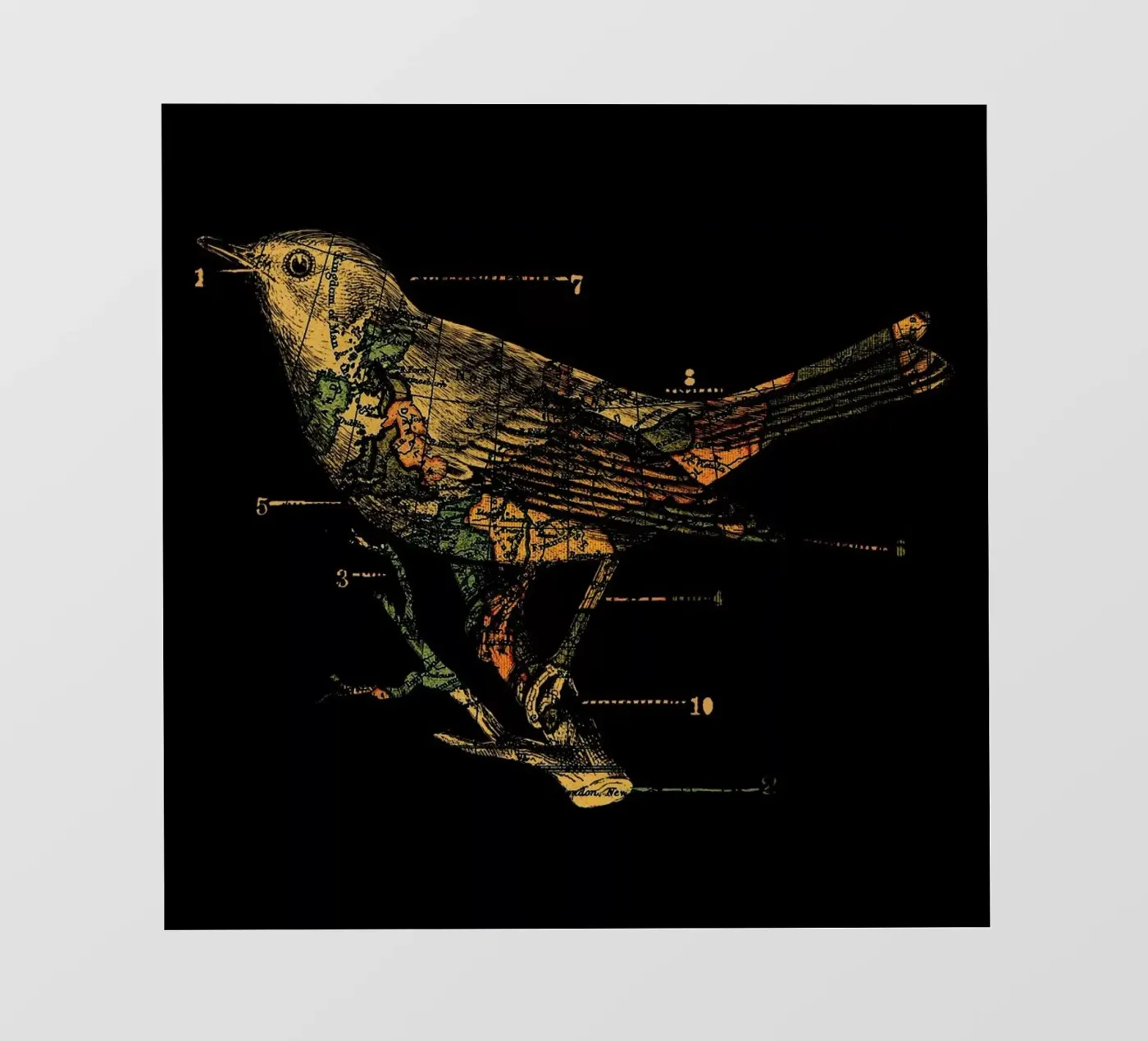 Migration backlit folie van Tobe Fonseca