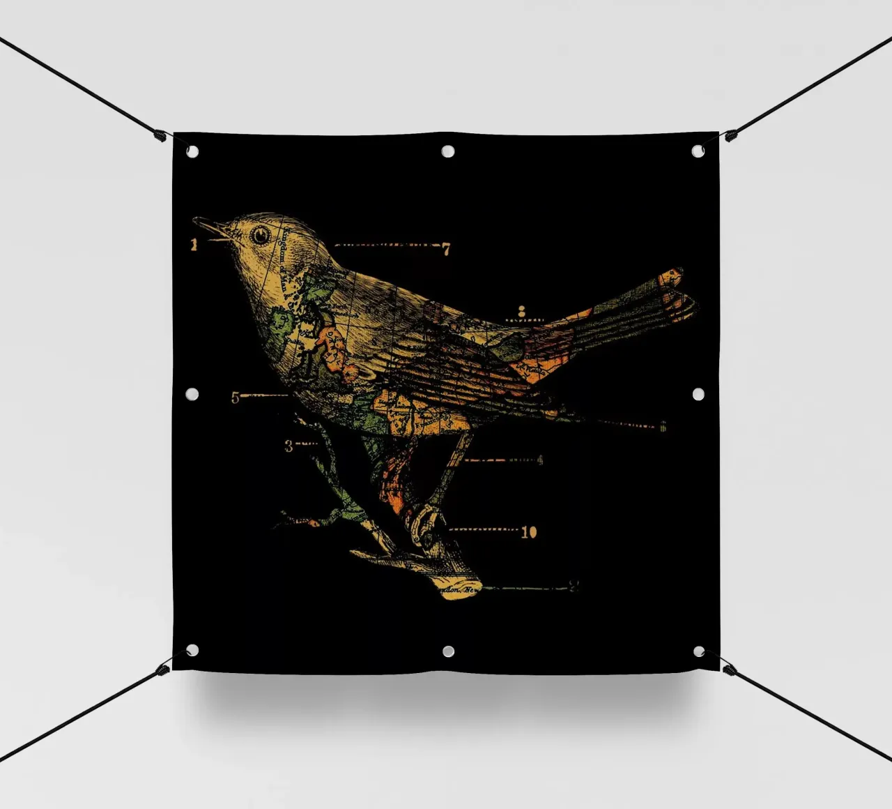 Migration telo in pvc da Tobe Fonseca