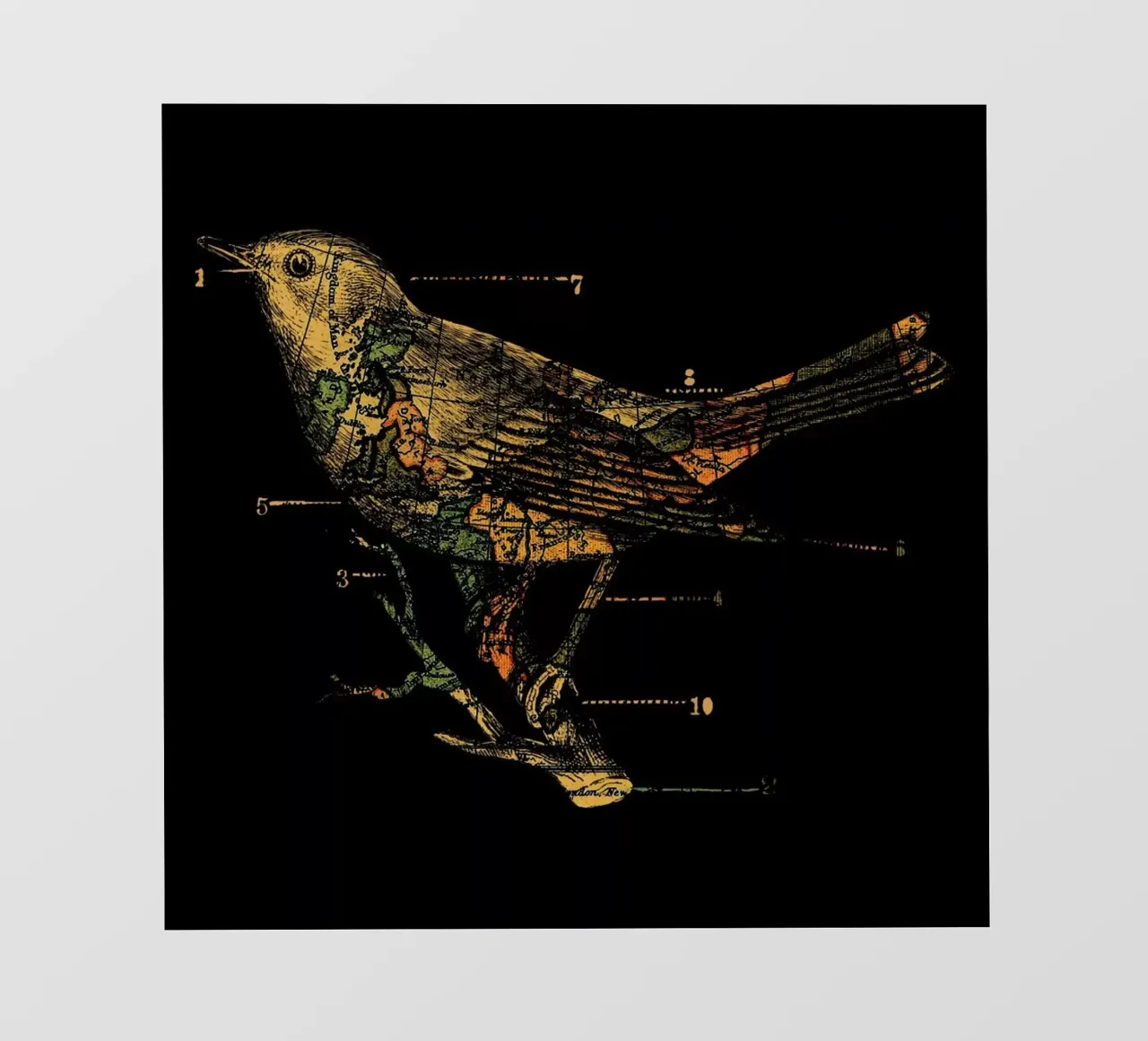 Migration telo in pvc da Tobe Fonseca