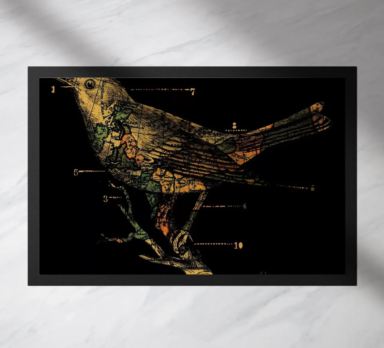 Migration zerbino da Tobe Fonseca