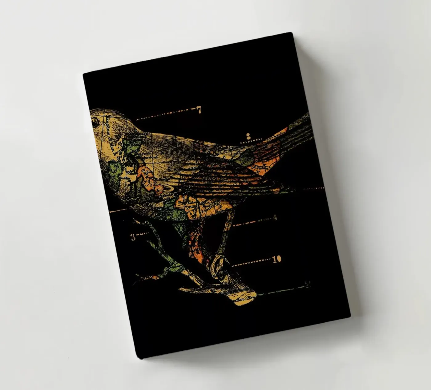 Migration carnet de notes de Tobe Fonseca