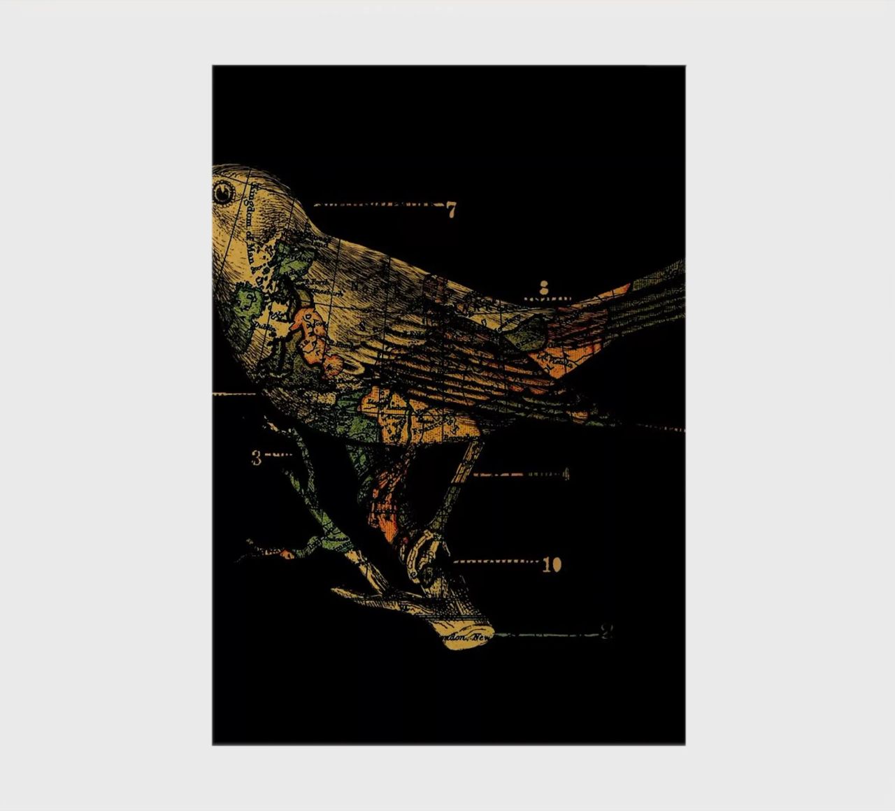 Migration notebook by Tobe Fonseca