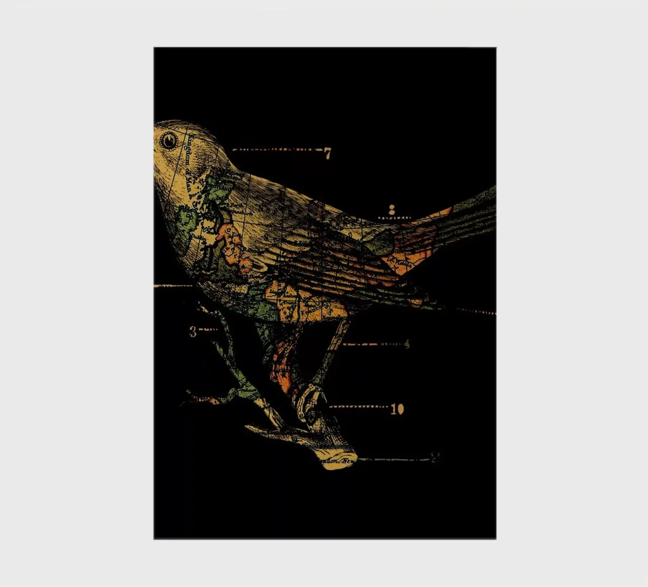 Migration notitieboek van Tobe Fonseca