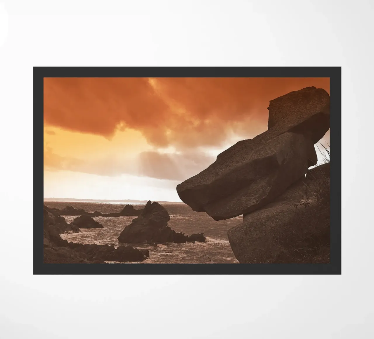 FAA179 zerbino da Thierry vobmann photography