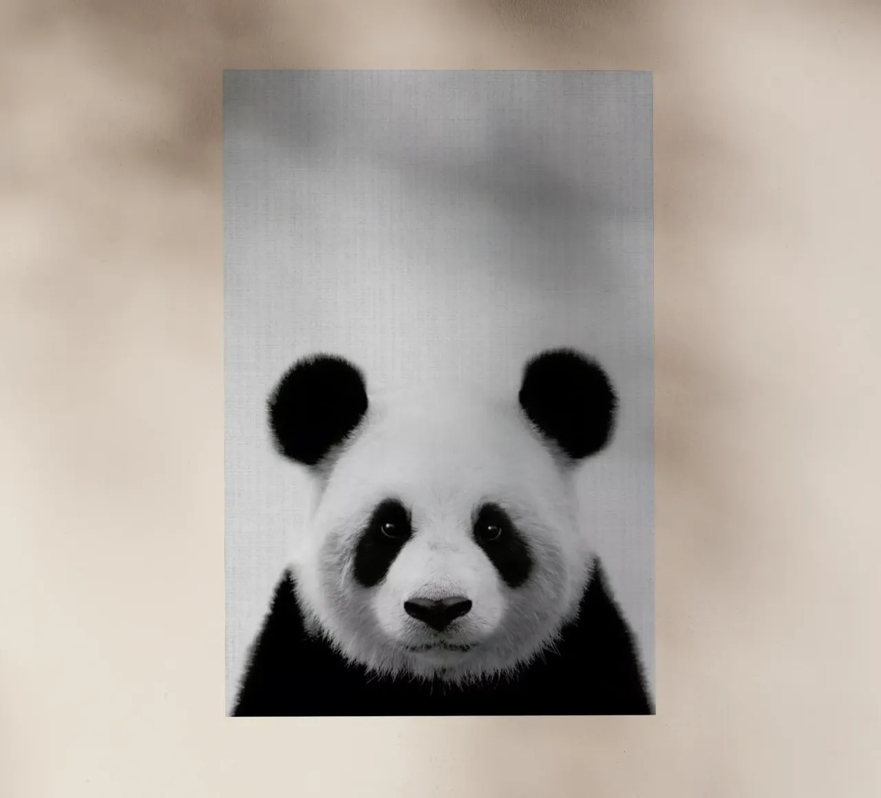 Print 61 pellicola backlit da Lila & Lola