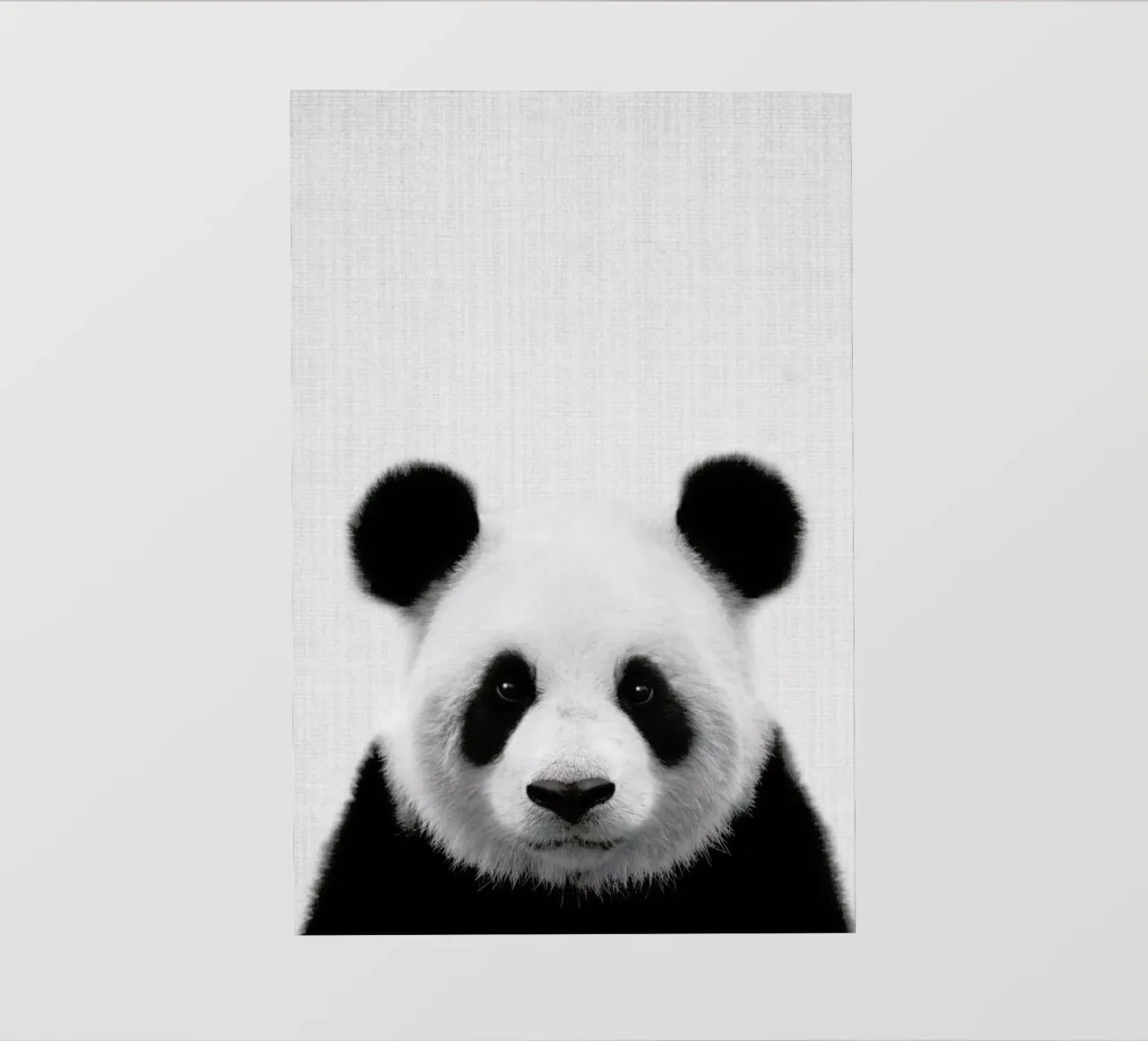 Print 61 pellicola backlit da Lila & Lola