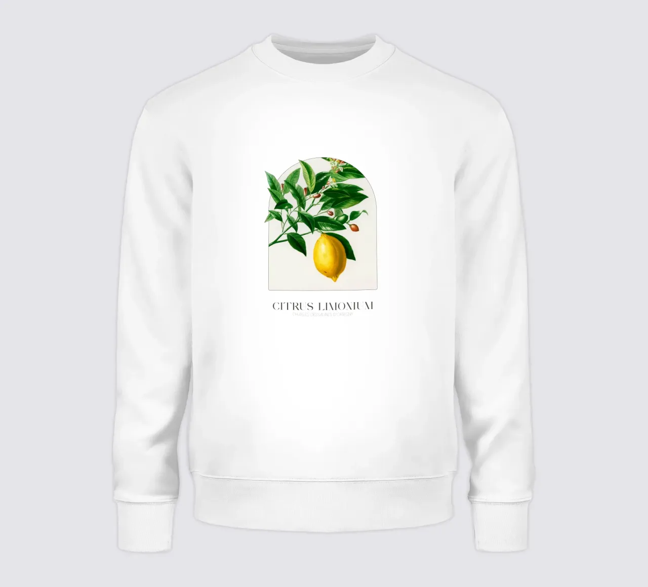 D'Orbigny - Citrus Limonium felpa da Old Masters