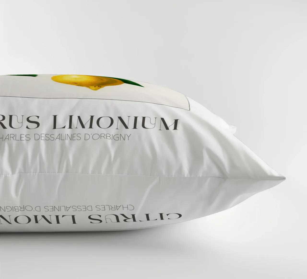 D'Orbigny - Citrus Limonium cuscino da Old Masters