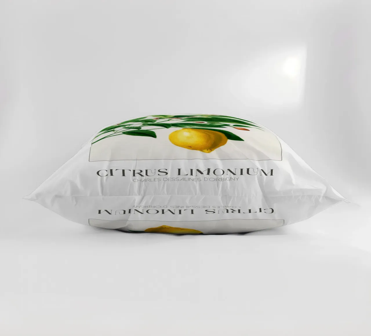D'Orbigny - Citrus Limonium cuscino da Old Masters
