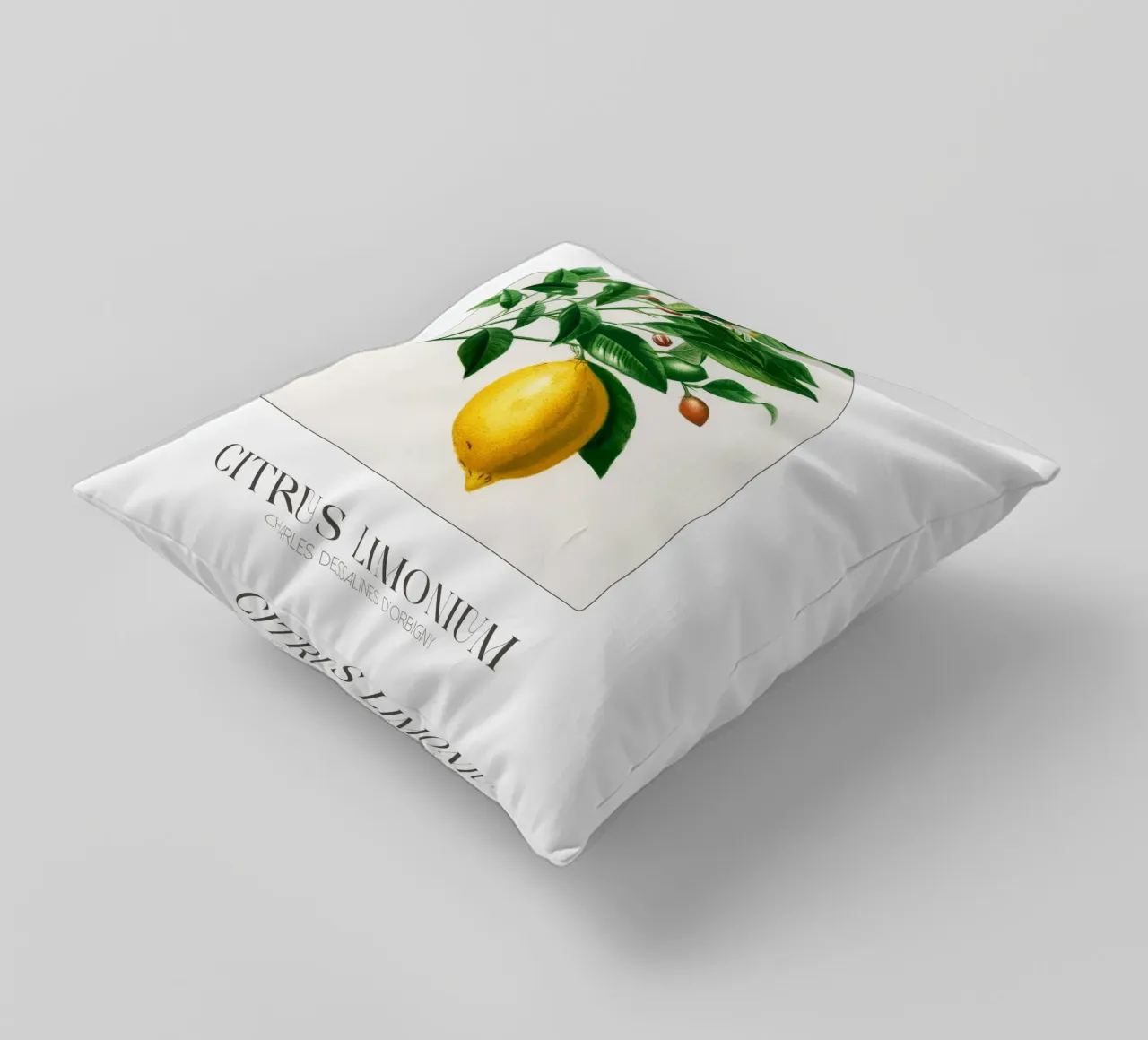 D'Orbigny - Citrus Limonium cuscino da Old Masters