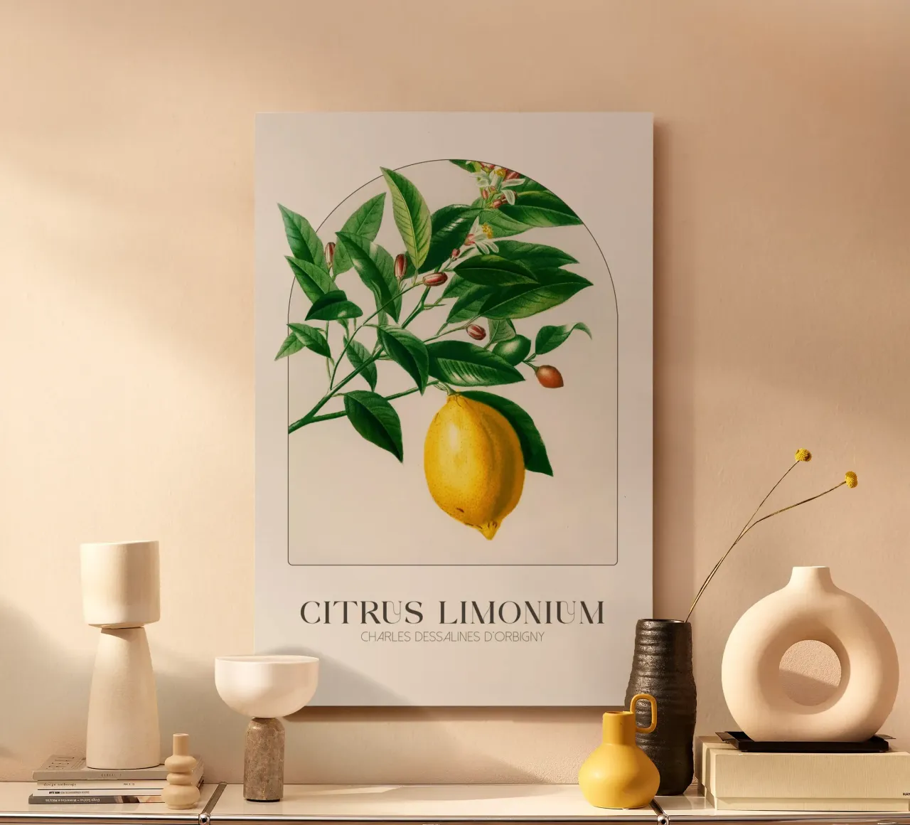 D'Orbigny - Citrus Limonium alluminio dibond da Old Masters