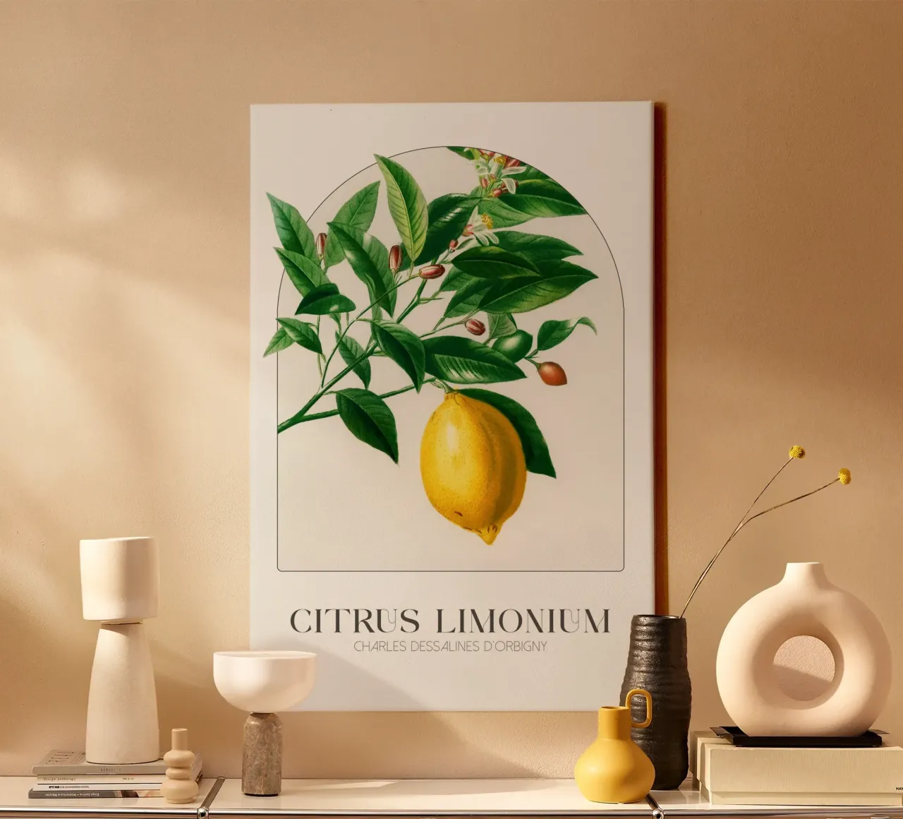 D'Orbigny - Citrus Limonium tela con Cornice a cassetta da Old Masters
