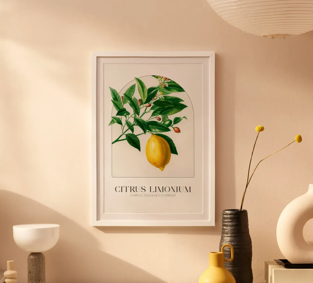 D'Orbigny - Citrus Limonium poster da Old Masters