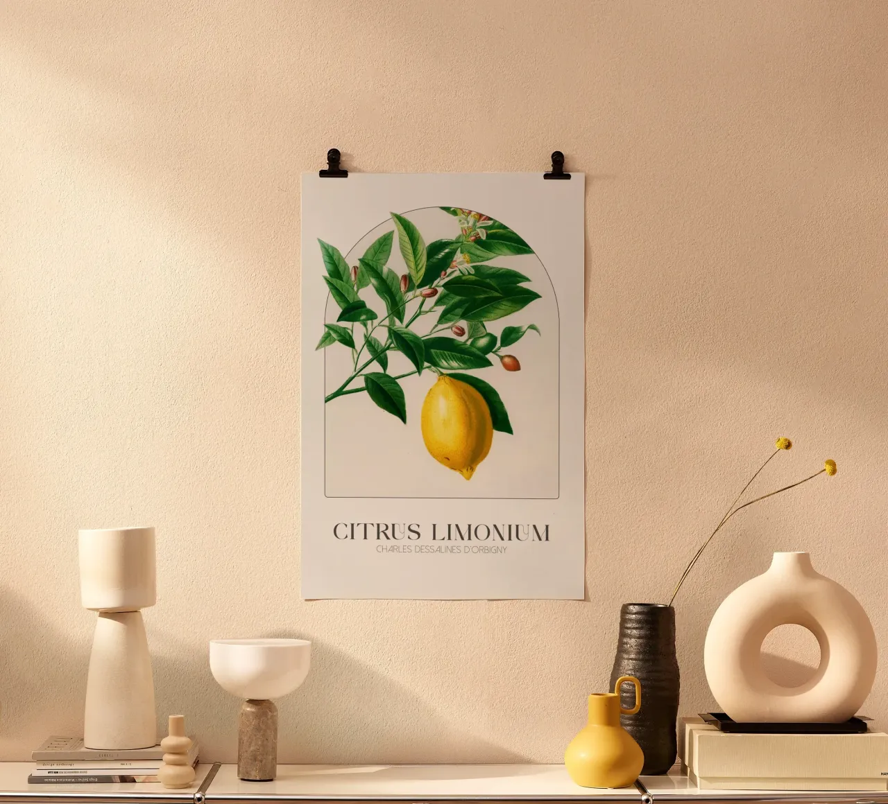 D'Orbigny - Citrus Limonium poster da Old Masters