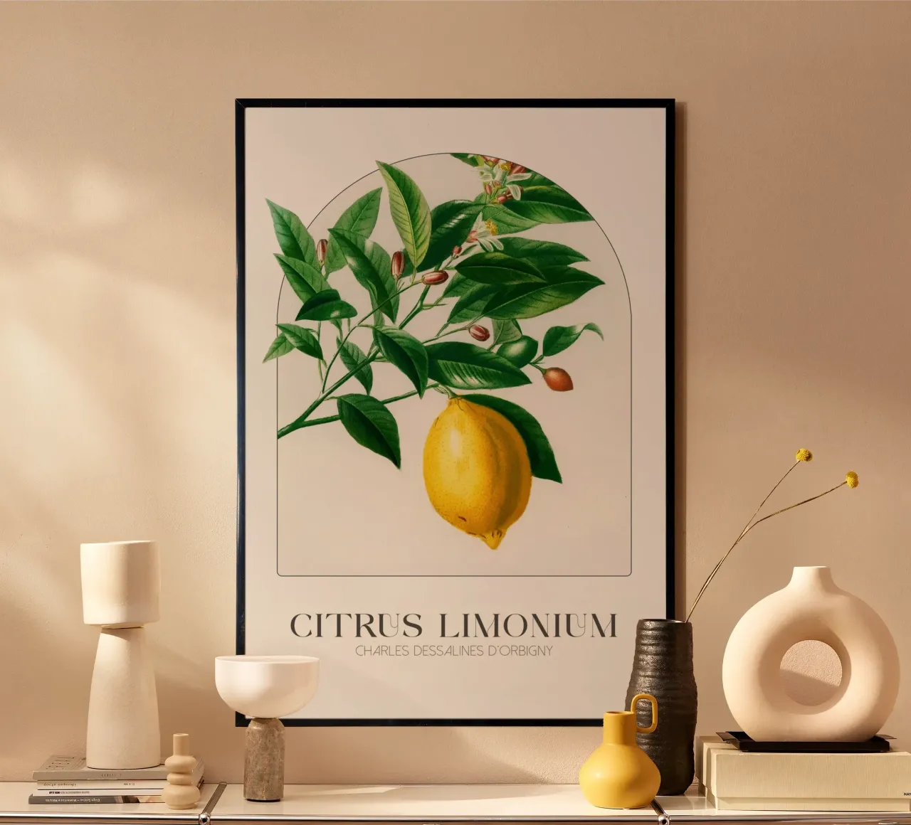 D'Orbigny - Citrus Limonium poster da Old Masters