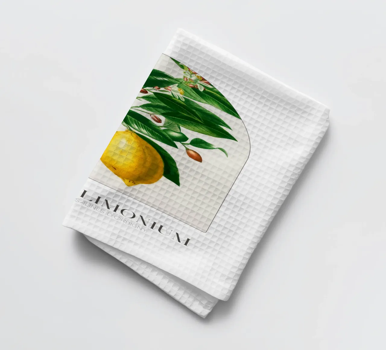 D'Orbigny - Citrus Limonium canovaccio da cucina da Old Masters