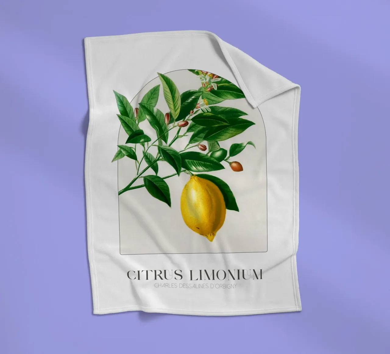 D'Orbigny - Citrus Limonium coperta in pile da Old Masters