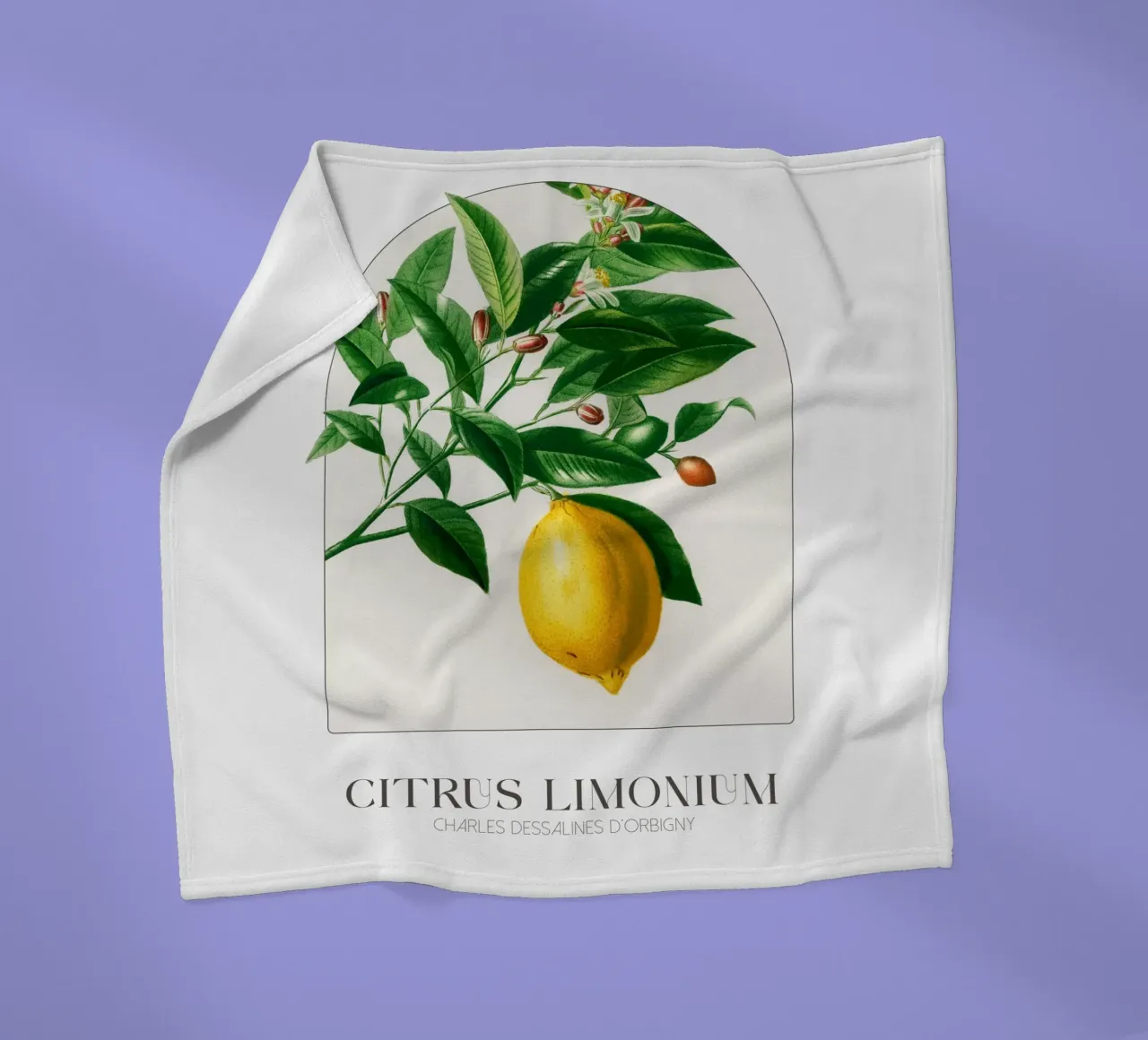 D'Orbigny - Citrus Limonium coperta in pile da Old Masters