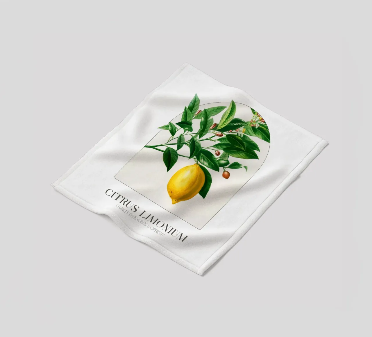 D'Orbigny - Citrus Limonium coperta in pile da Old Masters