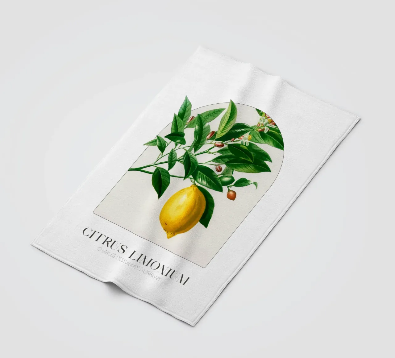 D'Orbigny - Citrus Limonium coperta in pile da Old Masters