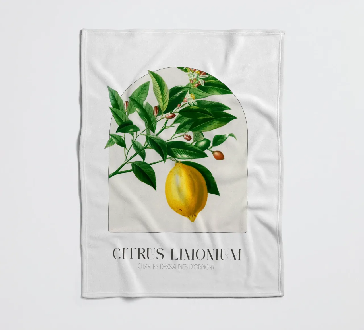 D'Orbigny - Citrus Limonium coperta in pile da Old Masters