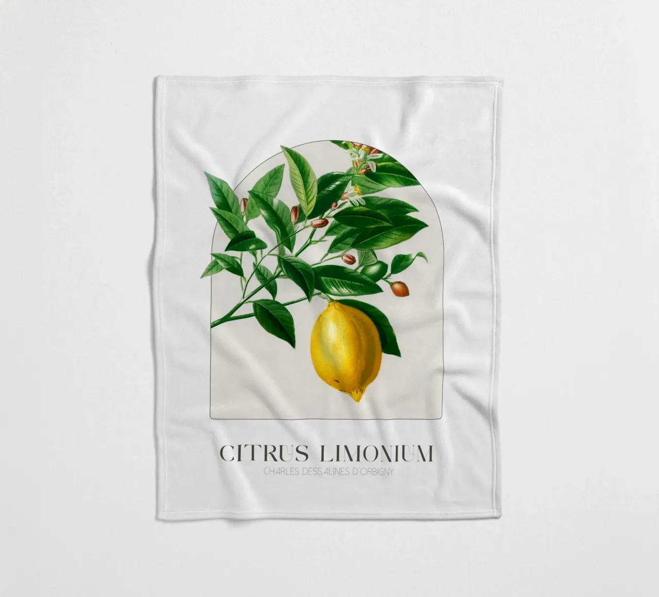 D'Orbigny - Citrus Limonium coperta in pile da Old Masters