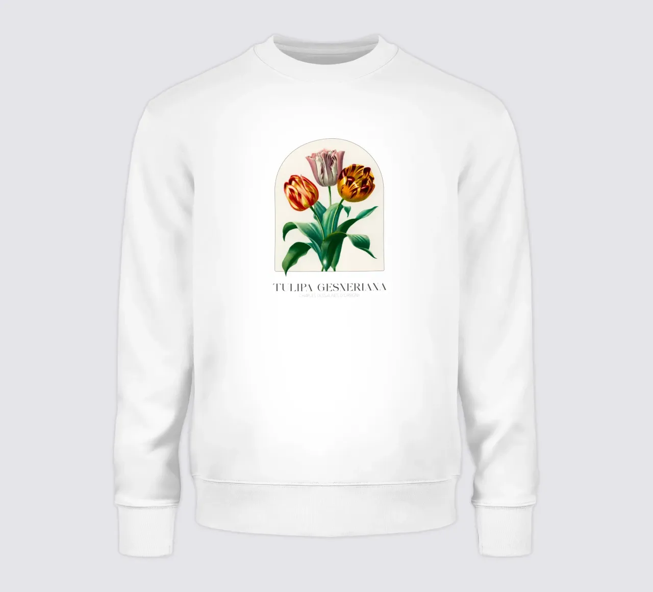 D'Orbigny - Tulipa Gesneriana felpa da Old Masters