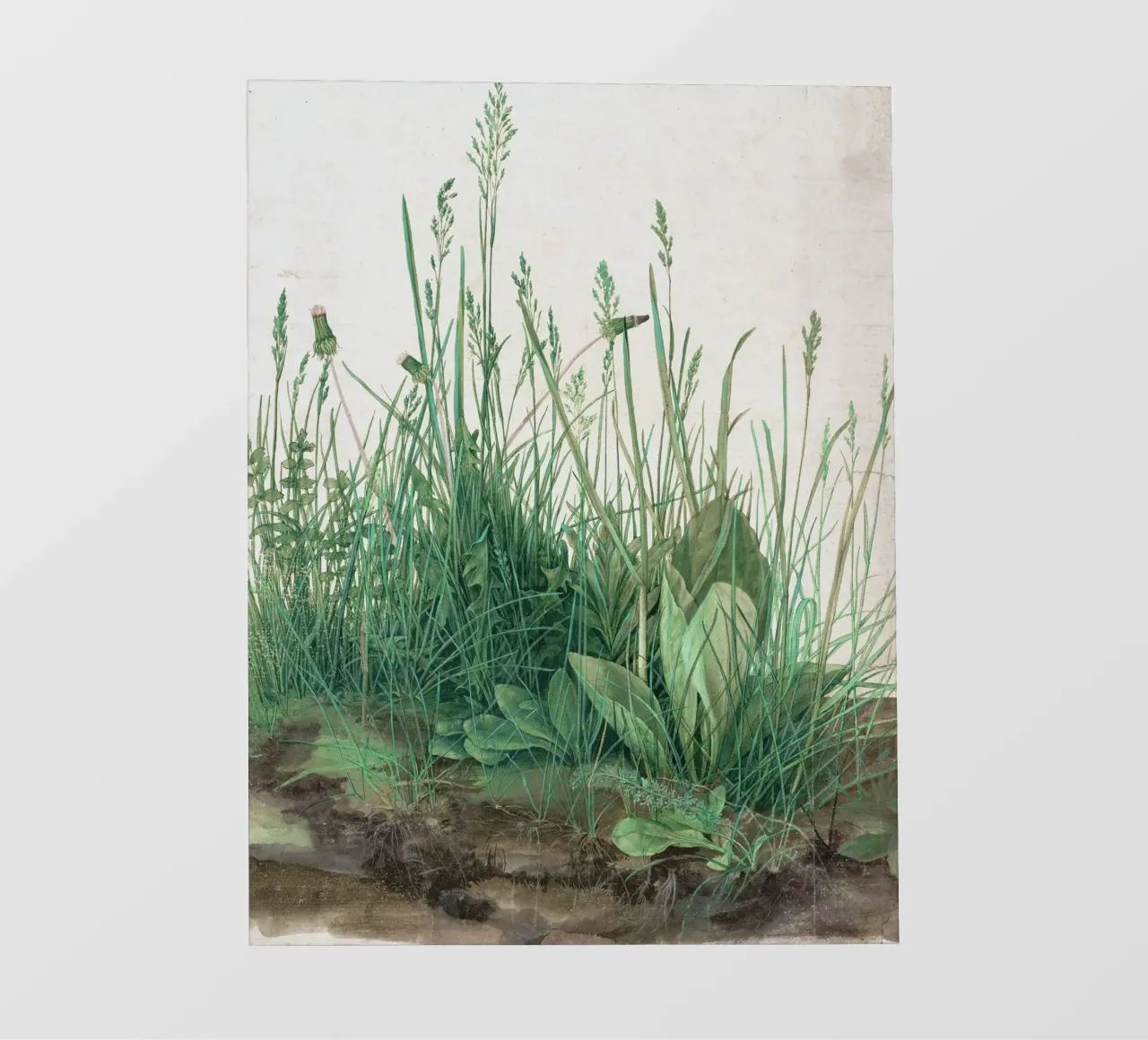 Albrecht Dürer - Das große Rasenstück telo in pvc da Old Masters