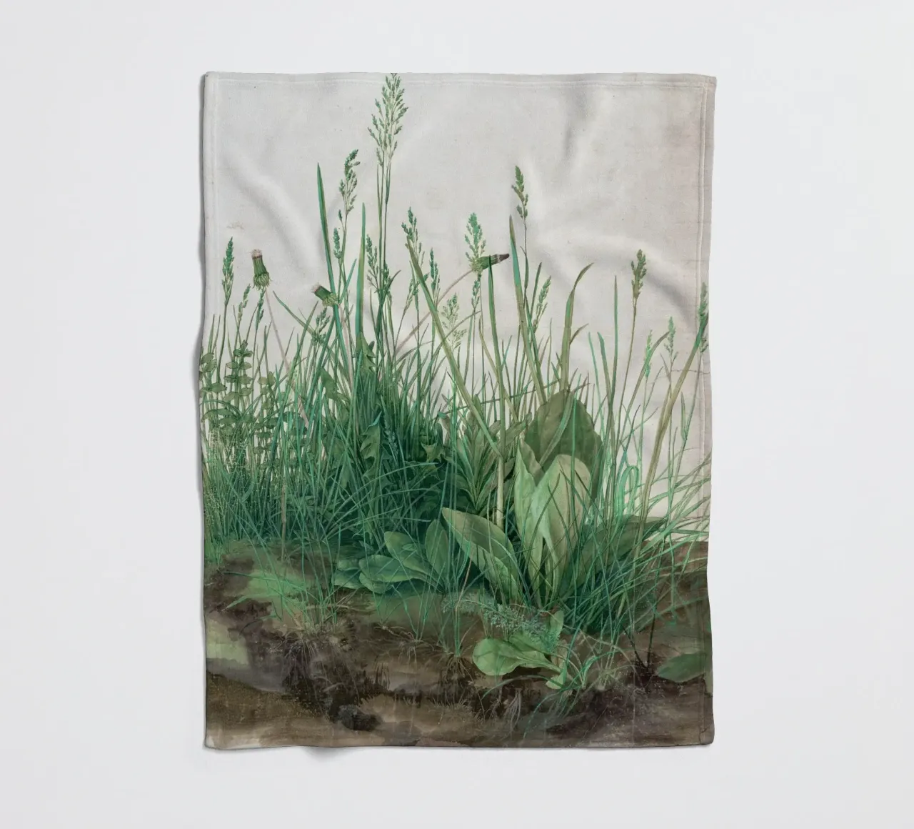 Albrecht Dürer - Das große Rasenstück coperta in pile da Old Masters