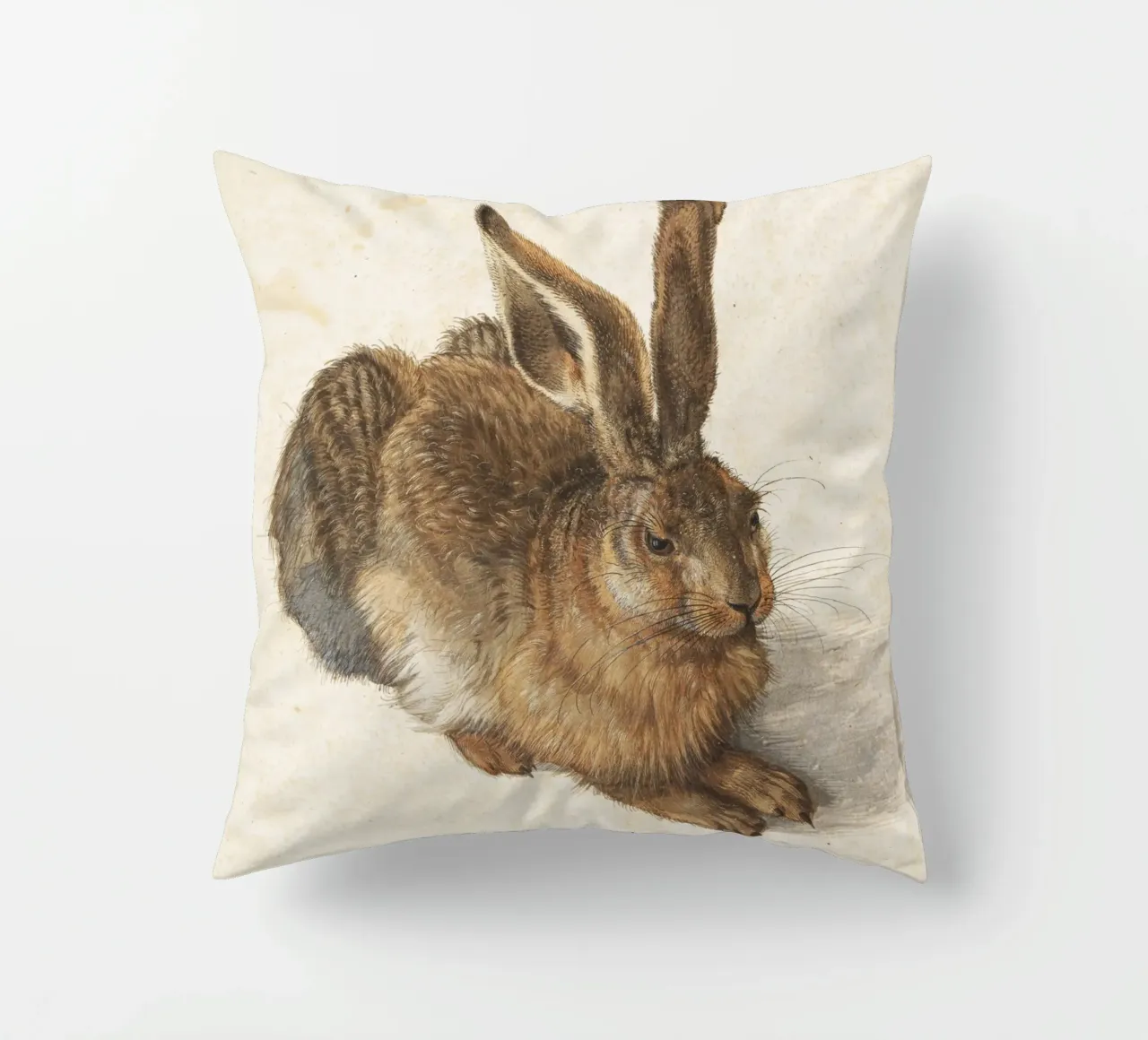 Albrecht Dürer - Der Hase cuscino da Old Masters